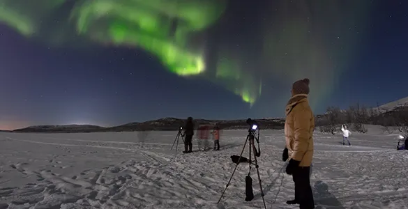 top-reykjavik-experiences-best-tours-&-tips-for-winter-travel-mid-content-6